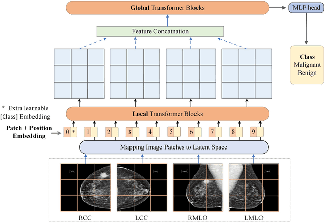 Figure 1 for Transformers Improve Breast Cancer Diagnosis from Unregistered Multi-View Mammograms
