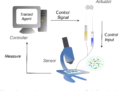 Figure 2 for External control of a genetic toggle switch via Reinforcement Learning