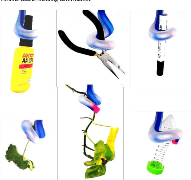 Figure 4 for A Plant-Inspired Multifunctional, Two Way, and Fiberless Soft Gripper with Sensorized Kinaesthesia
