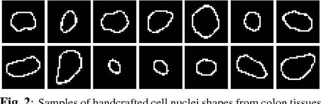 Figure 3 for Deep Networks with Shape Priors for Nucleus Detection