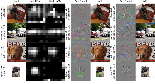 Figure 1 for Reliable Classification Explanations via Adversarial Attacks on Robust Networks