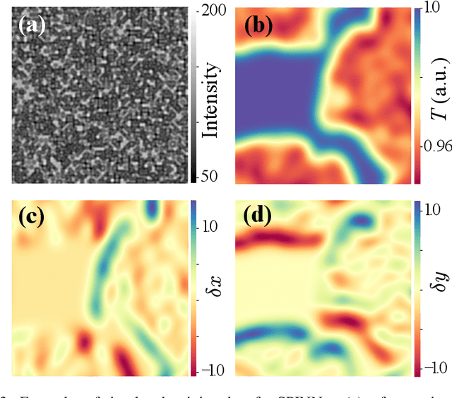 Figure 3 for Real-time X-ray Phase-contrast Imaging Using SPINNet -- A Speckle-based Phase-contrast Imaging Neural Network
