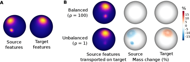 Figure 2 for Aligning individual brains with Fused Unbalanced Gromov-Wasserstein