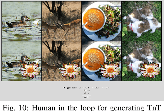 Figure 2 for TnT Attacks! Universal Naturalistic Adversarial Patches Against Deep Neural Network Systems