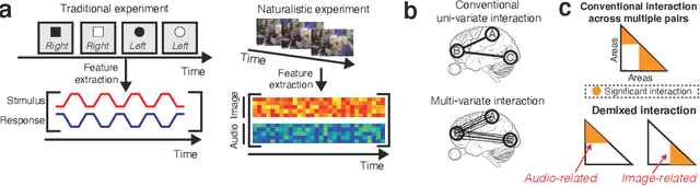 Figure 1 for Neural dSCA: demixing multimodal interaction among brain areas during naturalistic experiments