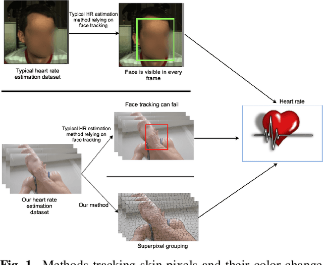 Figure 1 for Heart rate estimation in intense exercise videos