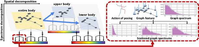 Figure 1 for Skeleton-Parted Graph Scattering Networks for 3D Human Motion Prediction
