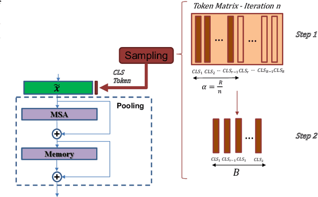Figure 2 for Class Token and Knowledge Distillation for Multi-head Self-Attention Speaker Verification Systems