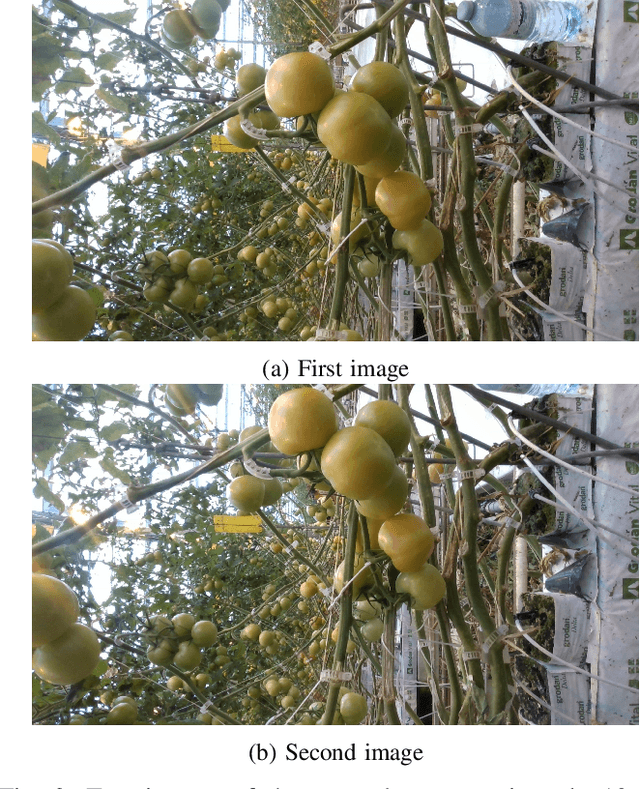 Figure 3 for Towards developing a realistic robotics simulation environment of an indoor vegetable greenhouse