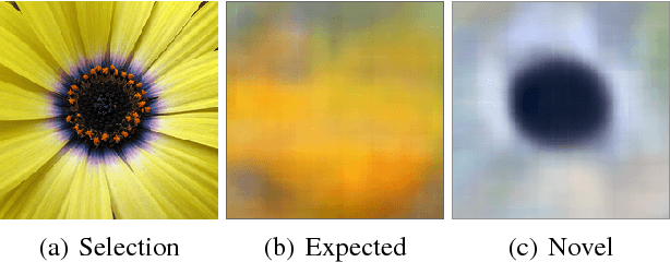 Figure 1 for Interpretable Discovery in Large Image Data Sets