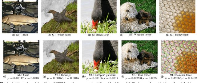 Figure 1 for An Explainable Adversarial Robustness Metric for Deep Learning Neural Networks