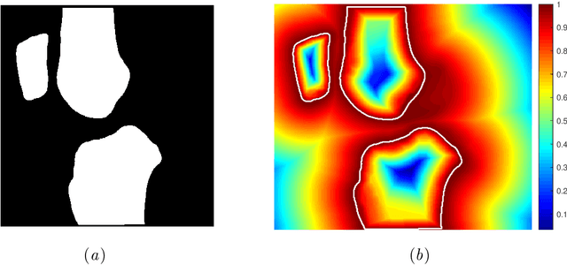 Figure 1 for Distance Map Loss Penalty Term for Semantic Segmentation