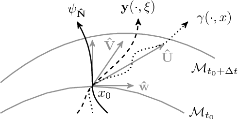 Figure 4 for A Numerical Framework for Efficient Motion Estimation on Evolving Sphere-Like Surfaces based on Brightness and Mass Conservation Laws