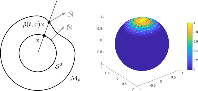 Figure 3 for A Numerical Framework for Efficient Motion Estimation on Evolving Sphere-Like Surfaces based on Brightness and Mass Conservation Laws