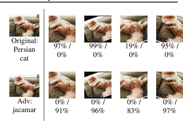 Figure 3 for Synthesizing Robust Adversarial Examples