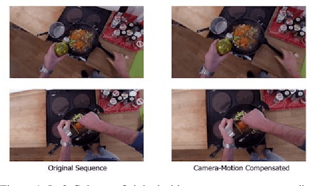 Figure 1 for A Prospective Study on Sequence-Driven Temporal Sampling and Ego-Motion Compensation for Action Recognition in the EPIC-Kitchens Dataset