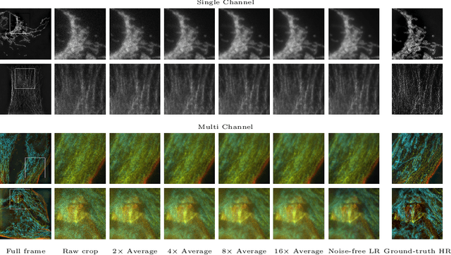 Figure 1 for W2S: A Joint Denoising and Super-Resolution Dataset