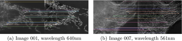 Figure 3 for W2S: A Joint Denoising and Super-Resolution Dataset
