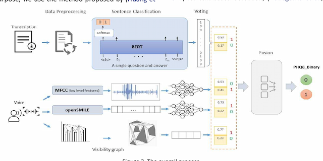 Figure 3 for Integration of Text and Graph-based Features for Detecting Mental Health Disorders from Voice