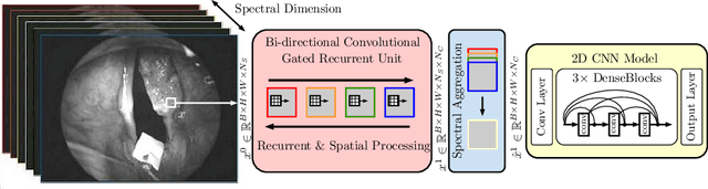 Figure 3 for Spectral-Spatial Recurrent-Convolutional Networks for In-Vivo Hyperspectral Tumor Type Classification