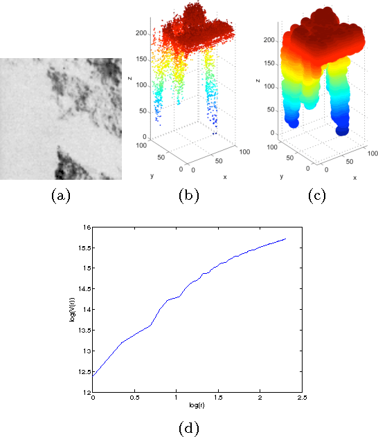 Figure 1 for Multiscale Fractal Descriptors Applied to Texture Classification