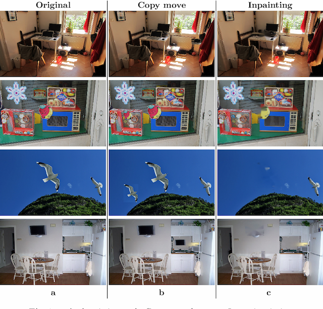 Figure 1 for Image Forgery Detection with Interpretability