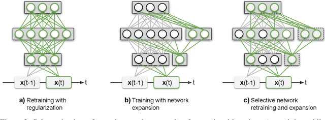 Figure 2 for Continual Lifelong Learning with Neural Networks: A Review