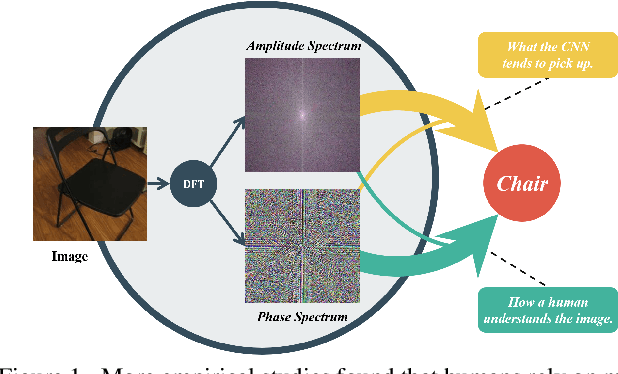 Figure 1 for Amplitude-Phase Recombination: Rethinking Robustness of Convolutional Neural Networks in Frequency Domain