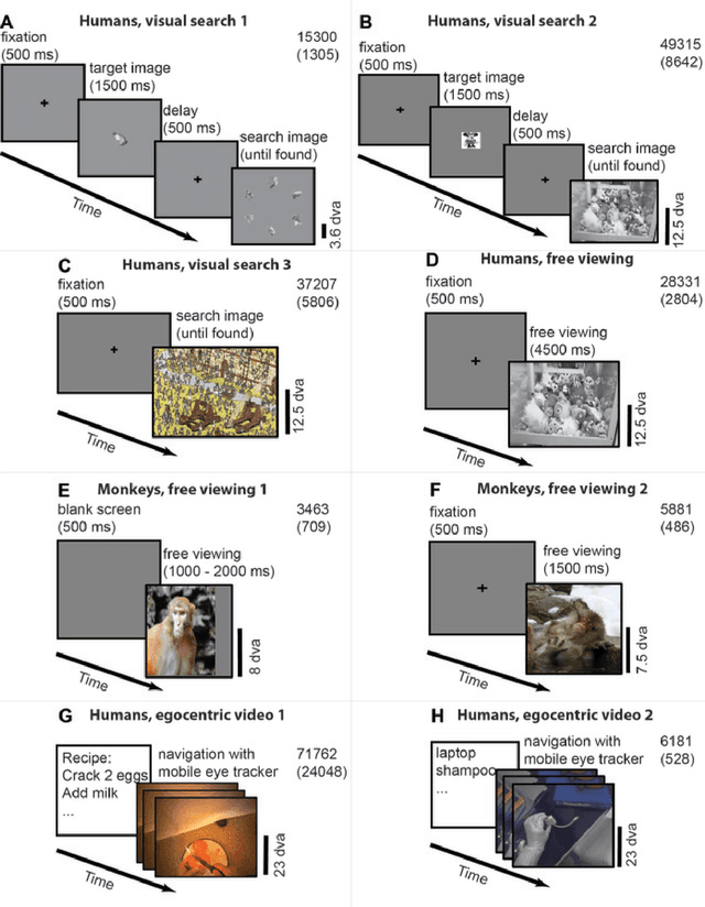 Figure 2 for Look Twice: A Computational Model of Return Fixations across Tasks and Species