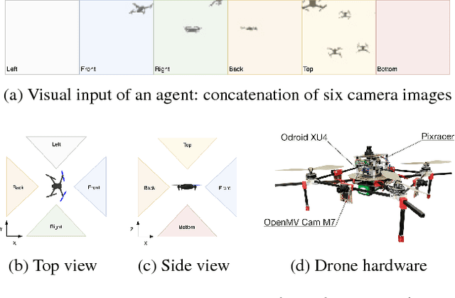 Figure 4 for Learning Vision-based Cohesive Flight in Drone Swarms