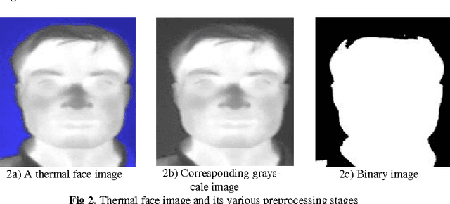 Figure 3 for Thermal Human face recognition based on Haar wavelet transform and series matching technique