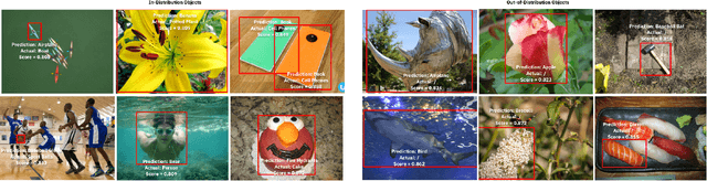 Figure 3 for Natural Adversarial Objects