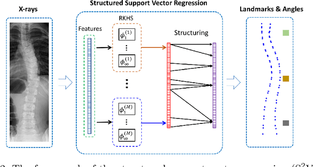 Figure 2 for Direct Estimation of Spinal Cobb Angles by Structured Multi-Output Regression