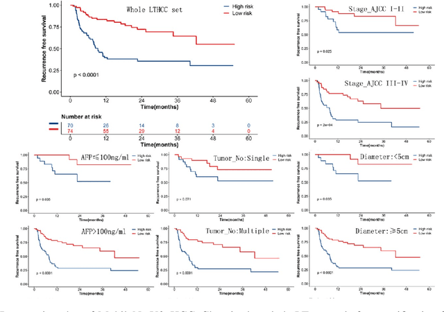 Figure 3 for Deep learning for prediction of hepatocellular carcinoma recurrence after resection or liver transplantation: a discovery and validation study