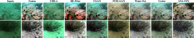 Figure 2 for Single Underwater Image Enhancement Using an Analysis-Synthesis Network