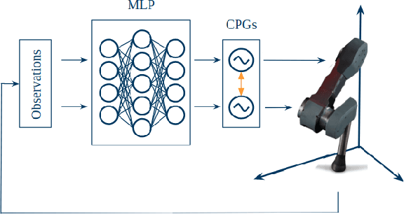 Figure 1 for CPG-ACTOR: Reinforcement Learning for Central Pattern Generators