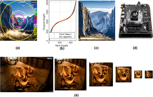 Figure 1 for Foveated image processing for faster object detection and recognition in embedded systems using deep convolutional neural networks