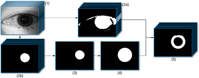 Figure 1 for Learning-Free Iris Segmentation Revisited: A First Step Toward Fast Volumetric Operation Over Video Samples