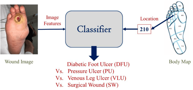 Figure 1 for Multi-modal Wound Classification using Wound Image and Location by Deep Neural Network