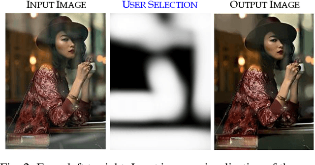 Figure 2 for Mirror, Mirror, on the Wall, Who's Got the Clearest Image of Them All? - A Tailored Approach to Single Image Reflection Removal