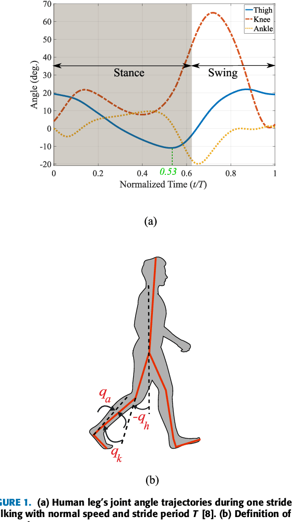 Figure 1 for A Phase Variable Approach for Improved Rhythmic and Non-Rhythmic Control of a Powered Knee-Ankle Prosthesis