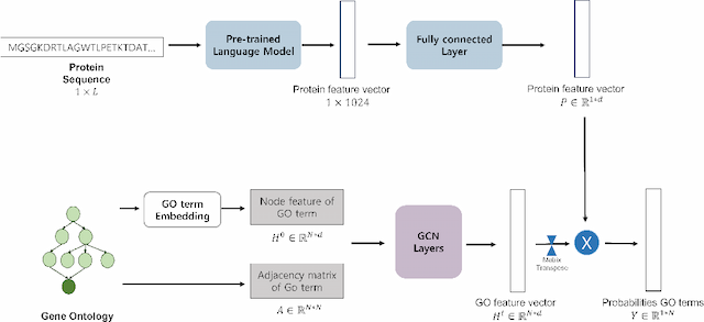 Figure 1 for An Effective GCN-based Hierarchical Multi-label classification for Protein Function Prediction