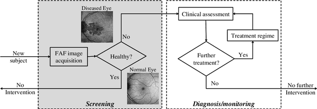 Figure 1 for Efficient Screening of Diseased Eyes based on Fundus Autofluorescence Images using Support Vector Machine