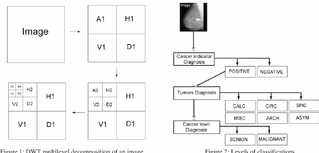 Figure 1 for Neural networks approach for mammography diagnosis using wavelets features