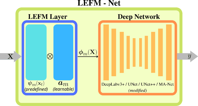 Figure 1 for LEFM-Nets: Learnable Explicit Feature Map Deep Networks for Segmentation of Histopathological Images of Frozen Sections