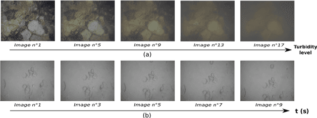 Figure 3 for Real-time Monocular Visual Odometry for Turbid and Dynamic Underwater Environments