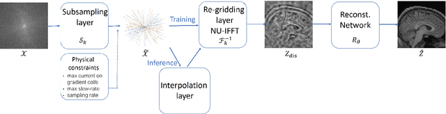Figure 1 for 3D FLAT: Feasible Learned Acquisition Trajectories for Accelerated MRI