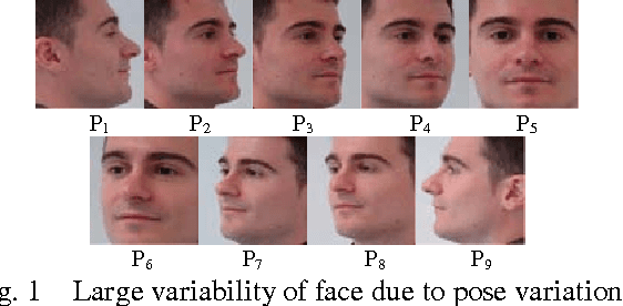 Figure 1 for Multi-Pose Face Recognition Using Hybrid Face Features Descriptor