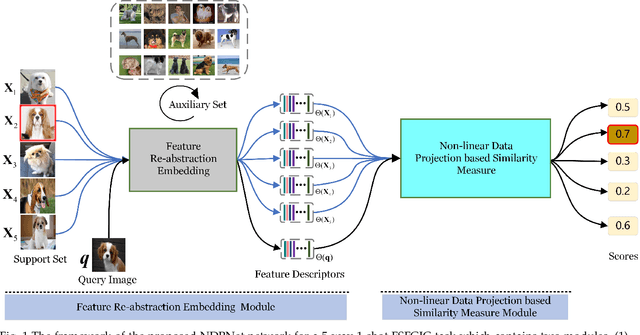Figure 1 for NDPNet: A novel non-linear data projection network for few-shot fine-grained image classification