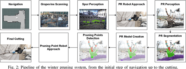 Figure 2 for Towards Precise Pruning Points Detection using Semantic-Instance-Aware Plant Models for Grapevine Winter Pruning Automation